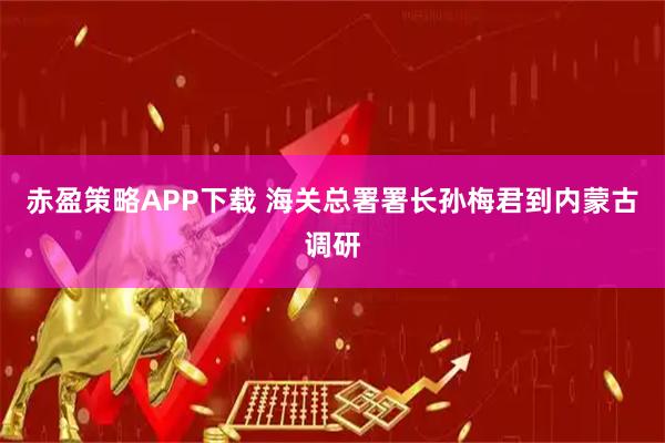 赤盈策略APP下载 海关总署署长孙梅君到内蒙古调研