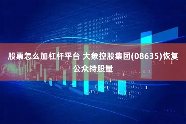 股票怎么加杠杆平台 大象控股集团(08635)恢复公众持股量