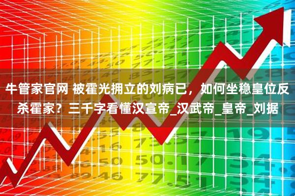 牛管家官网 被霍光拥立的刘病已，如何坐稳皇位反杀霍家？三千字看懂汉宣帝_汉武帝_皇帝_刘据